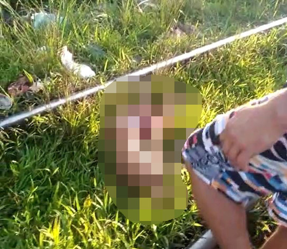 Criança morre ao cair em linha férrea e ser atropelada por trem em Cubatão (SP)