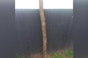 Pastor é agredido após suposta tentativa de roubo para compra de drogas, em Jataí