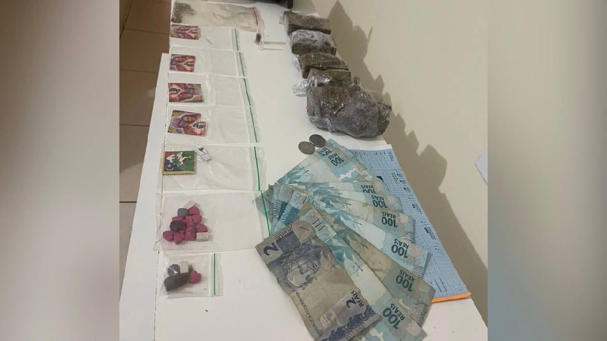 PM apreende mais de 50 pés de maconha em Aparecida de Goiânia