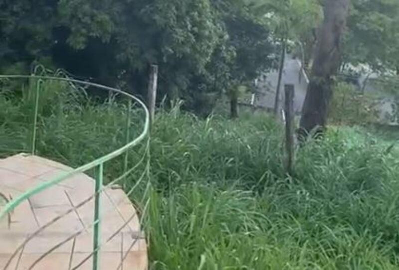 Mato alto e sujeira tomam conta do Caps Esperança, em Goiânia