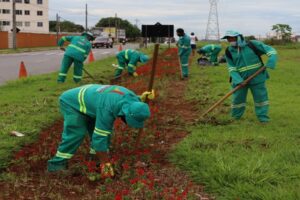Muitrão em Aparecida de Goiânia