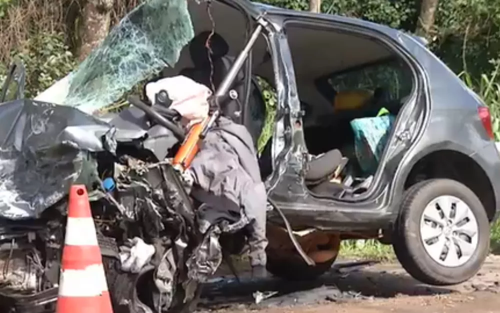 Dois motoristas e dois cães morreram após um acidente envolvendo dois carros de passeio na BR-040, em Luziânia. (Foto: Reprodução/TV Anhanguera)