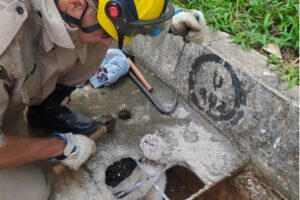 Gato ficou com pescoço totalmente preso em tubulação e foi resgatado por bombeiros, em Goiânia (Foto: CBMGO - Divulgação)