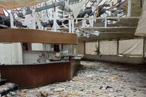 Moradores do Alto da Glória, em Goiânia, dizem que restaurante abandonado virou foco de mosquitos da dengue