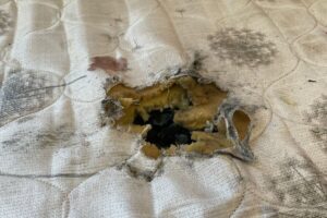 Criança morre enquanto dormia após ser atingida por explosivo