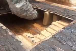 Casal é preso com 200kg de droga avaliada em R$ 500 mil, em Goiânia