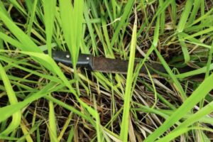 Arma utilizada no crime foi apreendida pela Polícia Militar. (Foto: Reprodução)