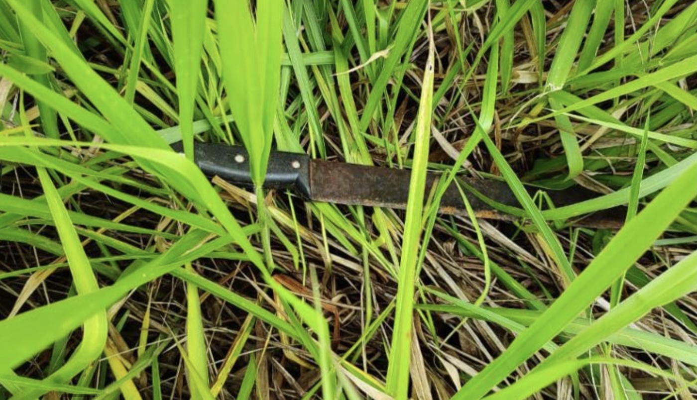 Arma utilizada no crime foi apreendida pela Polícia Militar. (Foto: Reprodução)