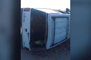 Adolescentes são presos após deixar crocodilos pendurados em veículo nos EUA