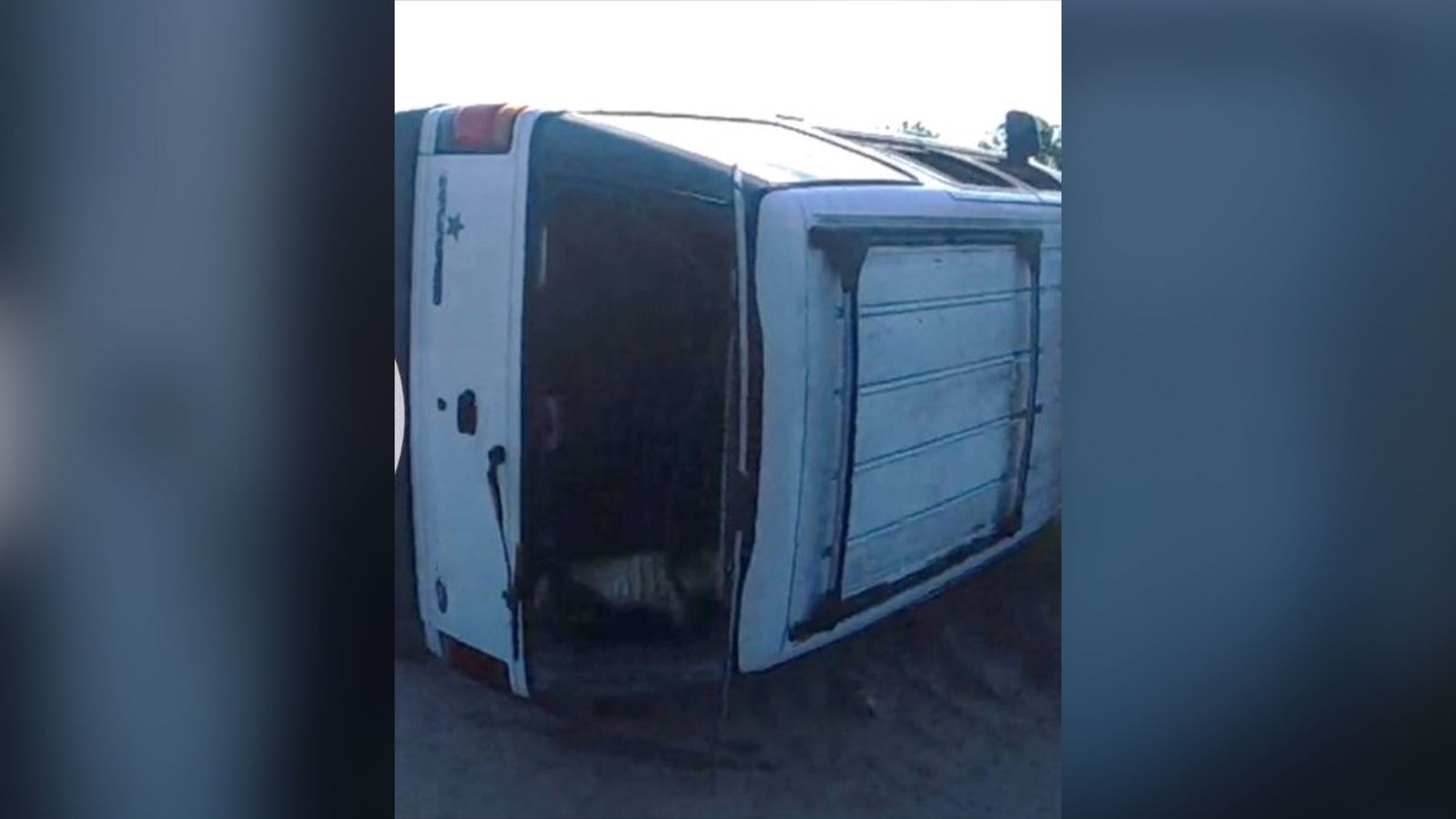 Adolescentes são presos após deixar crocodilos pendurados em veículo nos EUA