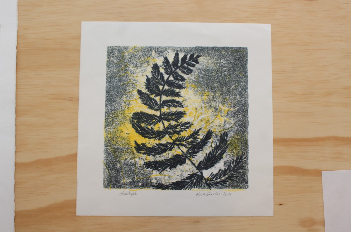 A exposição terá acesso gratuito e fica disponível até 31/1 (Foto: Divulgação - Léo Iran, Secult GO)