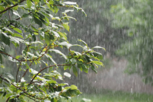 Goiás deve ter fim de semana chuvoso, mas clima só ameniza na segunda