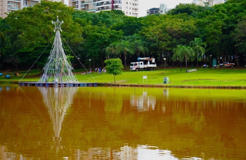 Árvore flutuante no Parque Vaca Brava