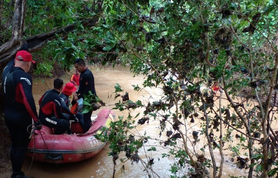 Equipes do Corpo de Bombeiros procuram por uma criança de 4 anos que desapareceu após cair em um riacho em Guarani de Goiás. (Foto: divulgação/Corpo de Bombeiros)