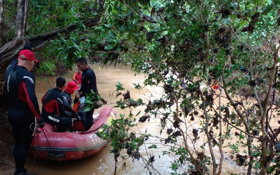 Equipes do Corpo de Bombeiros procuram por uma criança de 4 anos que desapareceu após cair em um riacho em Guarani de Goiás. (Foto: divulgação/Corpo de Bombeiros)