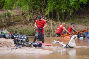 A auxiliar administrativo Wuilla Mara procura pela mãe, a idosa Aparecida Ribeiro, que estava no ônibus que capotou na BR-153, em Aparecida. (Foto: Jucimar de Sousa/Mais Goiás)