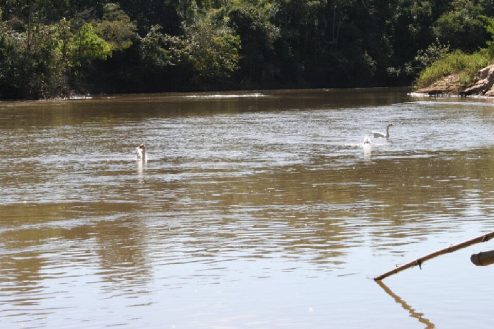 Rio dos Bois: grupo é indiciado por construir chácara em mata ciliar