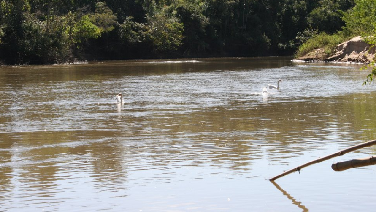Rio dos Bois: grupo é indiciado por construir chácara em mata ciliar (Foto ilustrativa: Reprodução - Mapio)