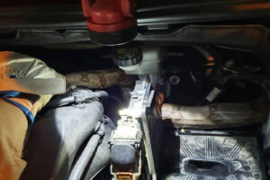 Filhote de jibóia é resgatada ferida de motor de carro no Setor Sudoeste, em Goiânia