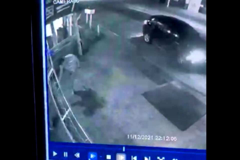 Polícia prende advogado que matou cachorro a tiros em Iporá (Foto: Reprodução)