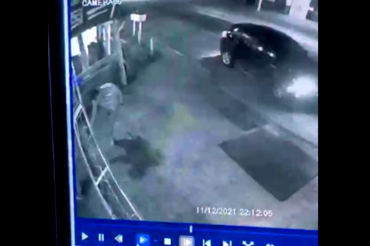 Polícia prende advogado que matou cachorro a tiros em Iporá (Foto: Reprodução)