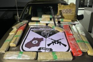 Carga de 30 quilos de maconha foi avaliada em R$ 70 mil pela polícia (Foto: Divulgação - PMGO)