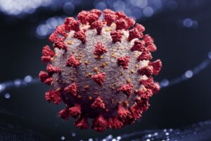 Ômicron representa 99% dos genomas sequenciados em fevereiro, diz Fiocruz