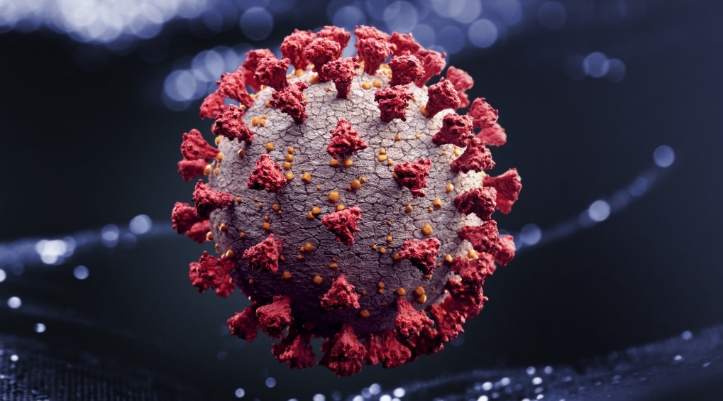 Ômicron representa 99% dos genomas sequenciados em fevereiro, diz Fiocruz