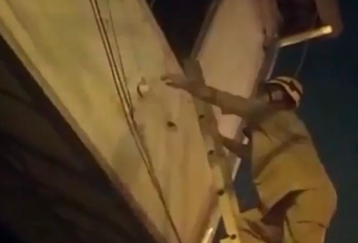 Bombeiro resgatou o gato após subir na escada da corporação. (Foto: Captura)