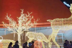 Mais Goiás.doc mostra decorações natalinas de Goiânia - Natal - lugares