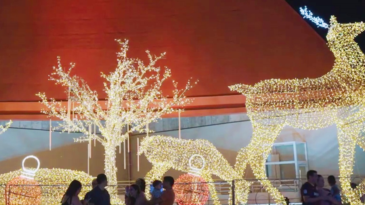 Imprevisibilidade e crises pessoais: As previsões astrológicas da semana do Natal  (Foto: Artur Dias)