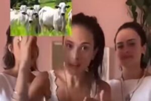 Federação de agricultura de Goiás critica comercial de banco e fala em "desserviço"