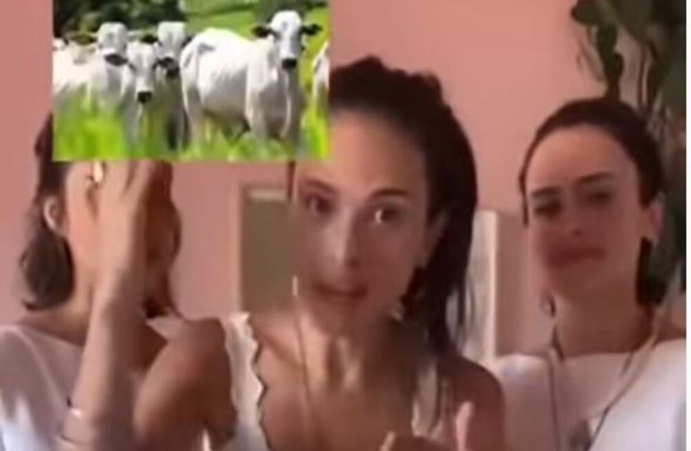 Federação de agricultura de Goiás critica comercial de banco e fala em "desserviço"