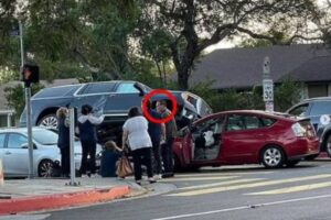 Acidente envolvendo Arnold Schwarzenegger deixa mulher ferida em Los Angeles