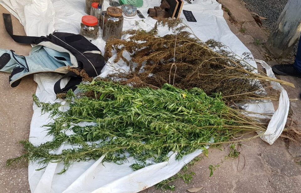 Moradores contestam PM sobre operação com quase 60 tiros e 4 mortos em Cavalcante