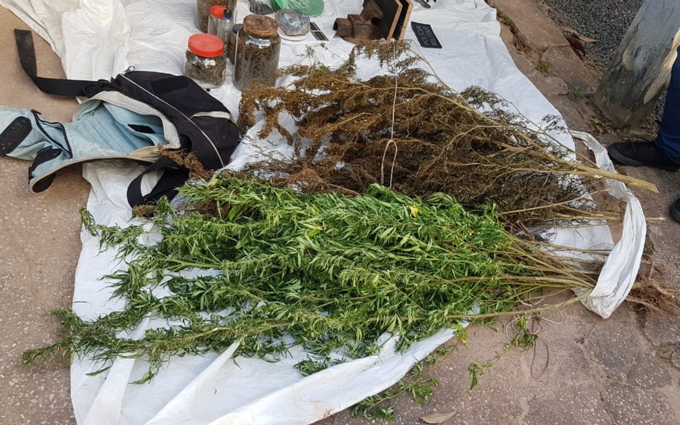 Moradores contestam PM sobre operação com quase 60 tiros e 4 mortos em Cavalcante