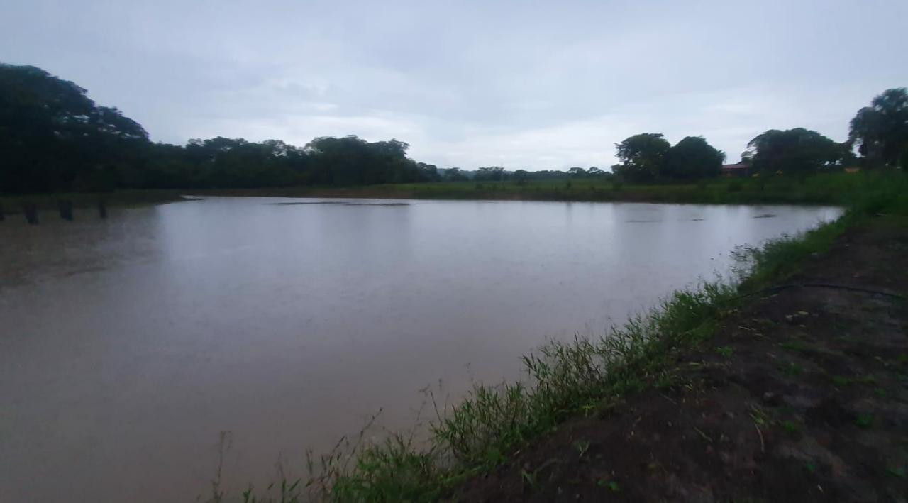 Corpo de homem é encontrado em represa próxima a BR-060, em Guapó