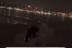 Homem foge de criatura que o persegue no mar