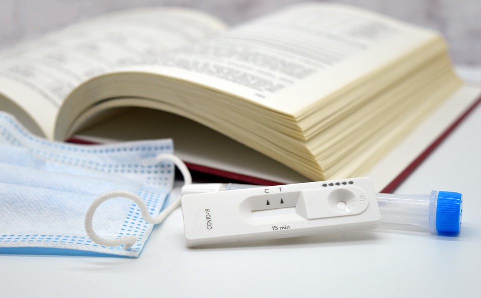 Anvisa aprova venda de autoteste de Covid no Brasil (Foto: Pixabay)