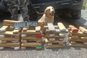 PM apreende 60kg de maconha em São Luís de Montes Belos com a ajuda de cães farejadores
