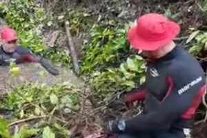 Busca por criança desaparecida em rio em Guarani de Goiás está no quinto dia