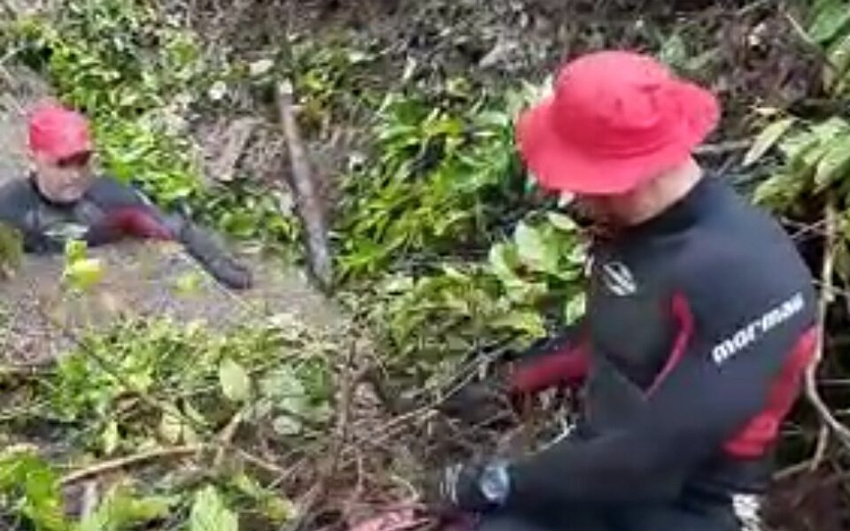 Busca por criança desaparecida em rio em Guarani de Goiás está no quinto dia