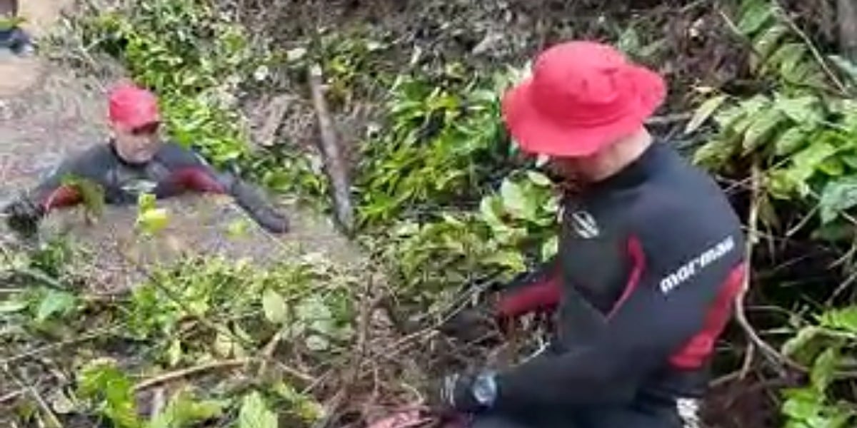 Busca por criança desaparecida em rio em Guarani de Goiás está no quinto dia