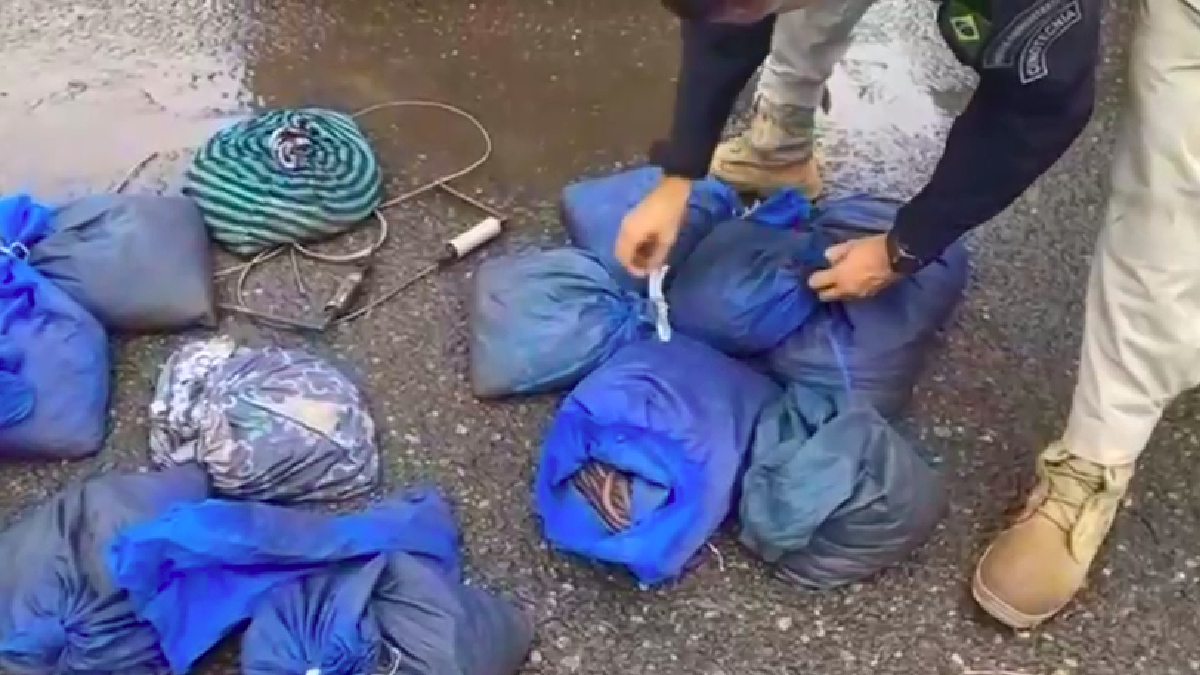 Suspeitos de transportar 810 animais silvestres são multados em R$ 400 mil, em Porangatu