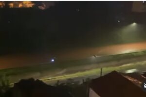 Chuva derruba árvores e deixa ruas e casas alagadas em Goiânia