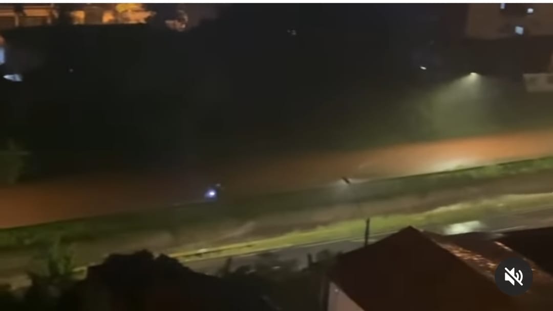 Chuva derruba árvores e deixa ruas e casas alagadas em Goiânia