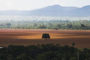 Alto Paraíso (GO) - Área de cerrado desmatada para plantio no município de Alto Paraíso (Marcelo Camargo/Agência Brasil)