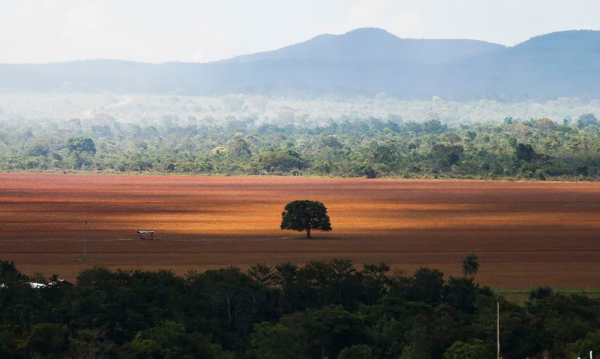 Alto Paraíso (GO) - Área de cerrado desmatada para plantio no município de Alto Paraíso (Marcelo Camargo/Agência Brasil)