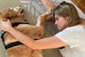 Fernanda Gentil vídeo Nala em cadeira de rodas Nala "Obrigada Senhor por me ensinar a aceitar", escreveu a apresentadora. Fernanda Gentil mostra sua cachorrinha Nala em cadeira de rodas: vídeo