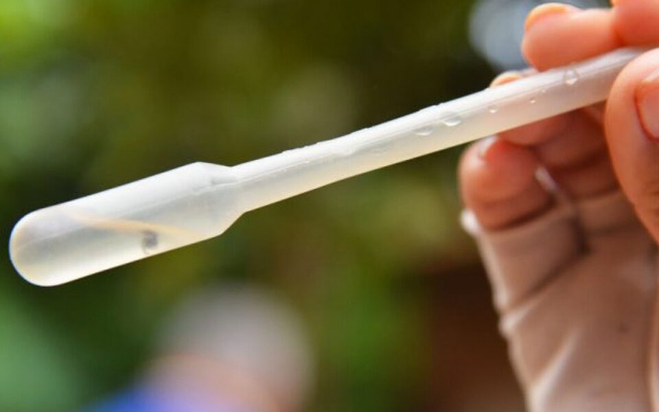 Aparecida de Goiânia investiga quatro mortes suspeitas de dengue